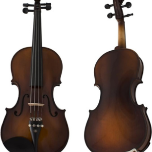 Cecilio CVN-EAV Ebony Fitted Solid Wood Violin
